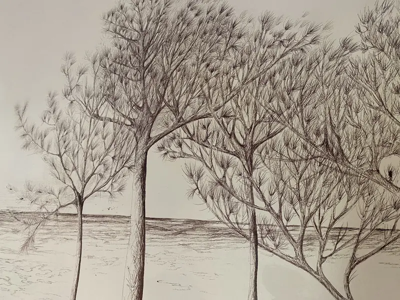 Dunes et arbres dessinés au stylo