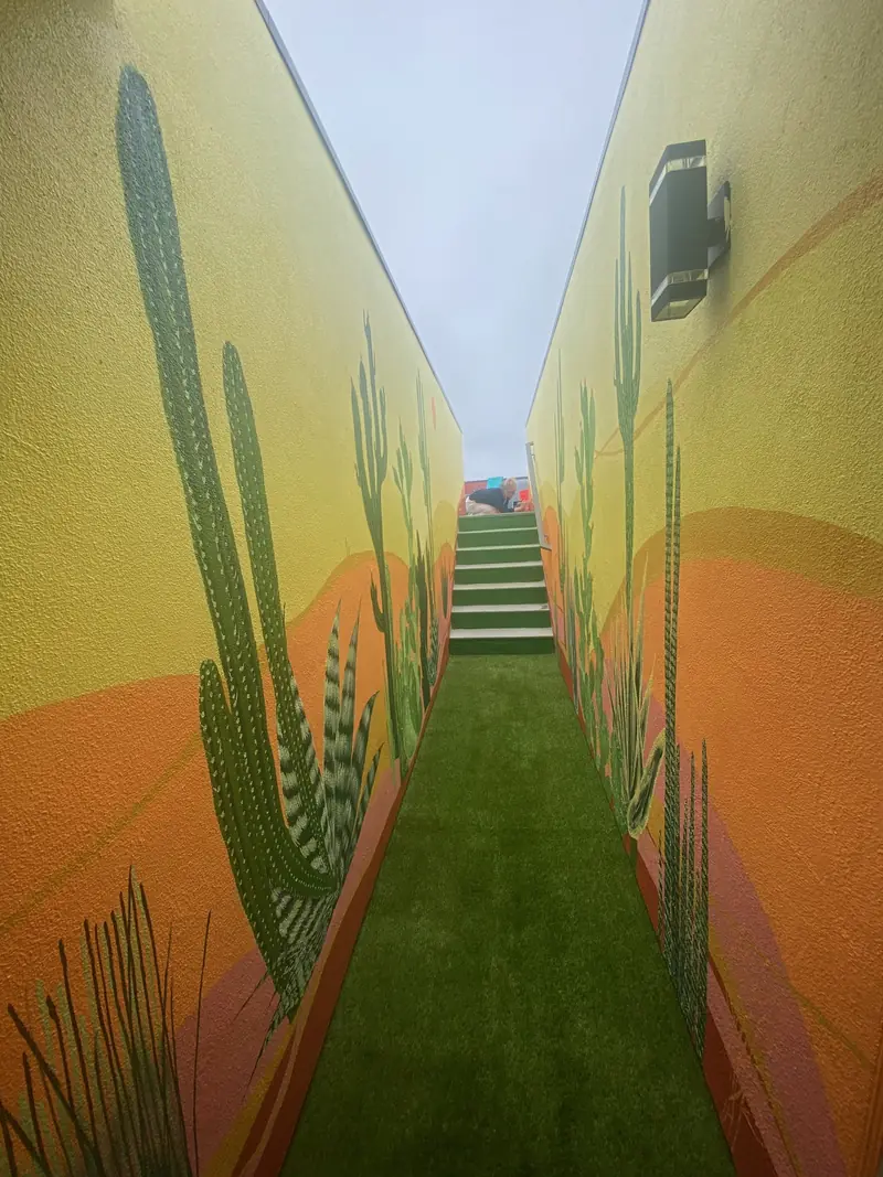 Allée bordée de cactus peints